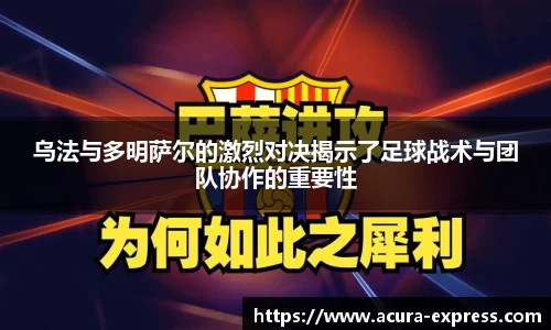 YY易游体育